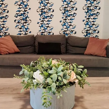 Apartamento T3 Rez-de-chaussée Centre